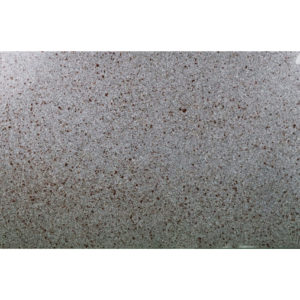 Riverbed - Image 4